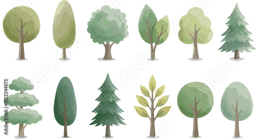 Cartoon Tree Collection Set, Green Forest and Garden Deciduous and Conifer Trees Isolated Vector Illustration