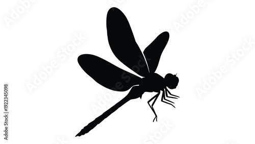 A black silhouette of a dragonfly on a white background isolated on white background, Vector