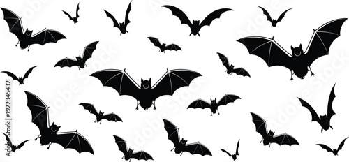Flying bat silhouette set, spooky halloween vampire bats isolated on white background, wildlife flat vector illustration collection