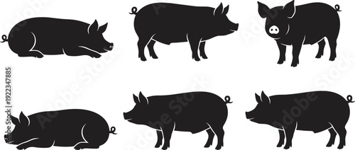 Pig Silhouette Set, Farm Livestock Collection with Standing and Lying Domestic Swine Side and Front Views