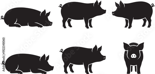 Pig Silhouettes Collection, Farm Animal Set with Standing and Lying Hog Side and Front View Vector