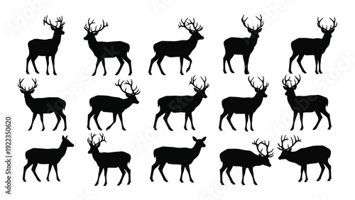 A group of deer silhouettes in various poses isolated on white background, Vector