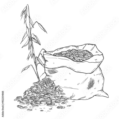 Oats cereal ears and grain in sack. Vector sketch illustration. Hand drawn isolated design elements.