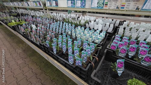 A tracking shot over rows of small potted perennials and seedlings in black crates with colorful informative labels inside a large garden center warehouse.