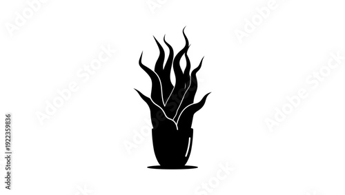 Snake plant, black isolated silhouette