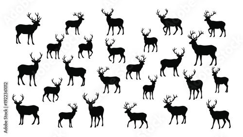 A herd of deer in various poses isolated on white background, Vector