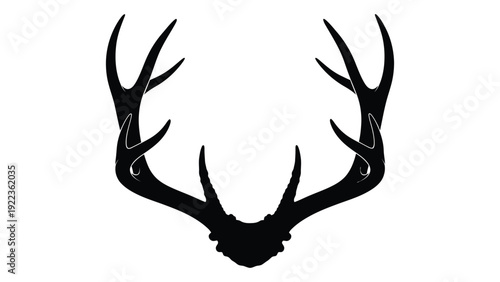 A black silhouette of a deer's antlers on a white background isolated on white background, Vector