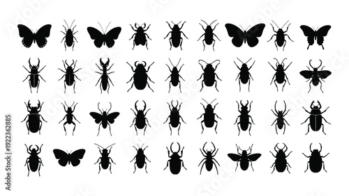 A collection of black silhouettes of various insects isolated on white background, Vector