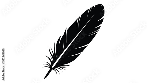 A black feather on a white background isolated on white background, Vector