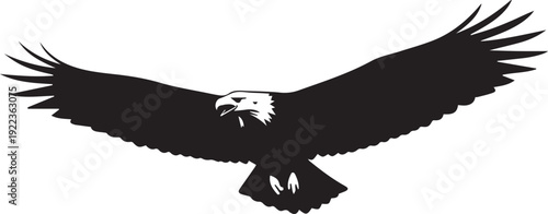 Eagle bird flying with wings spread silhouette vector illustration for freedom and nature