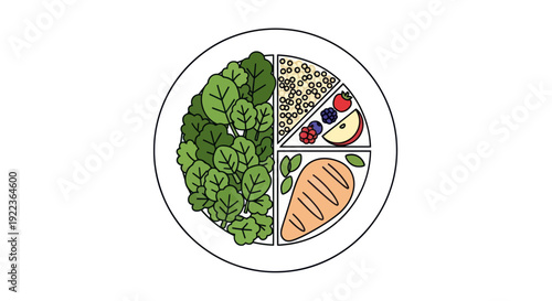 Healthy Balanced Meal Plate with Fresh Food Groups.
