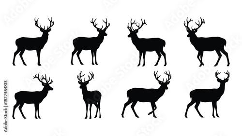 A group of deer silhouettes in various poses isolated on white background, Vector