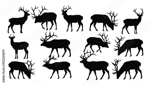 A group of deer silhouettes in various poses isolated on white background, Vector