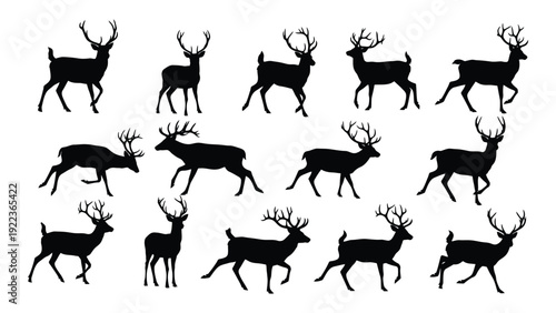 A group of deer silhouettes in various poses isolated on white background, Vector