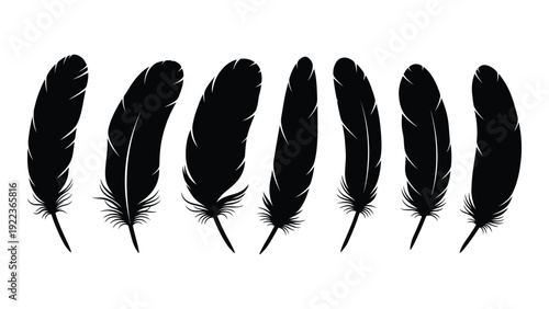 A group of black feathers on a white background isolated on white background, Vector