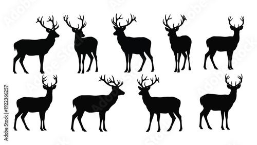 A group of deer silhouettes in various poses isolated on white background, Vector