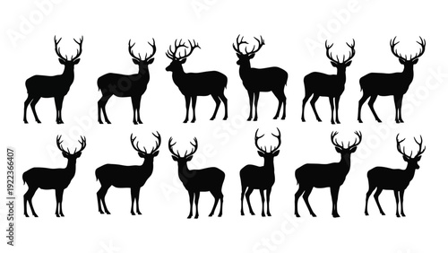 A group of deer silhouettes standing in two rows isolated on white background, Vector