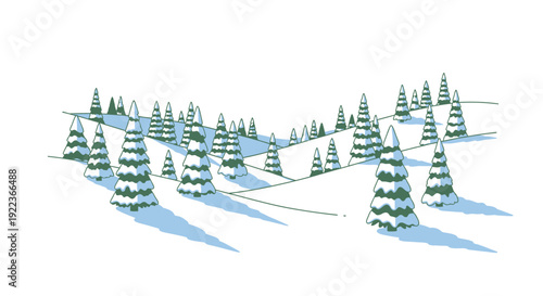 Group of evergreen conifer trees.