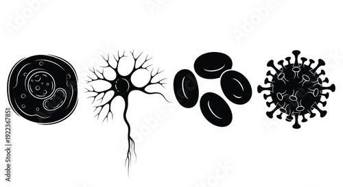 A set of medical illustrations showing cells and microorganisms