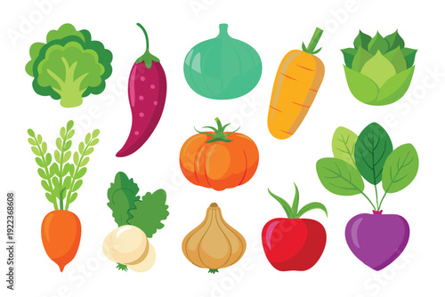 vegetable vector on white background