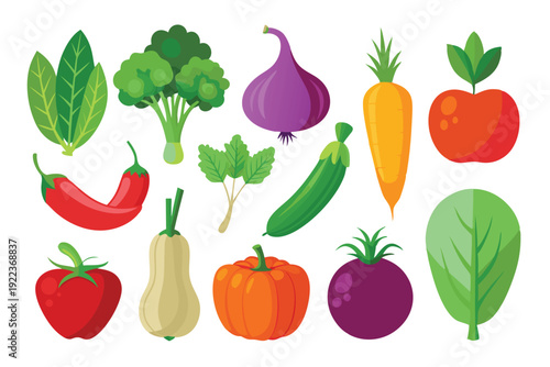 vegetable vector on white background