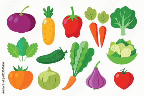 vegetable vector on white background