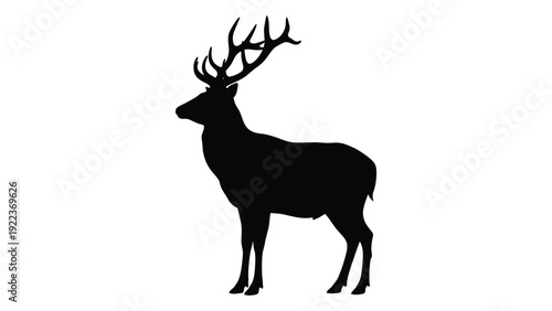 A black silhouette of a deer with antlers isolated on white background, Vector