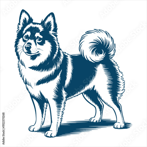 Fluffy Spitz Dog Standing Detailed Vector Illustration