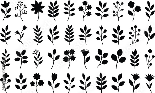A large collection of delicate black botanical silhouettes showing various leaves, flowers, and natural plant elements