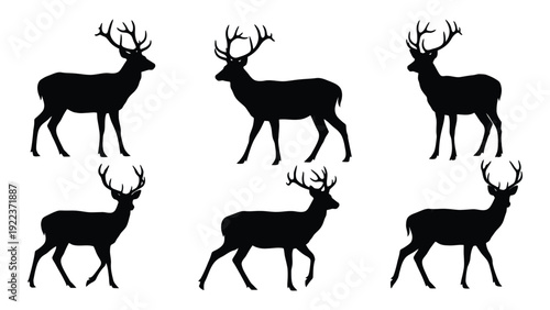Silhouettes of deer in various poses isolated on white background, Vector