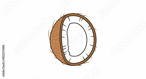 Half Coconut Illustration with Brown Shell and White Flesh.
