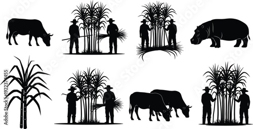 Black silhouette set of farmers harvesting sugarcane, grazing cattle, and a hippopotamus isolated on white background for agriculture and farming.