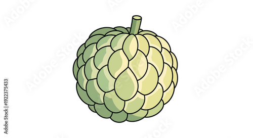 A single ripe custard apple with a segmented green skin and a short stem.