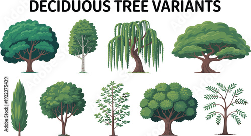 Deciduous tree variant illustration featuring diverse foliage patterns, trunk structures, and growth habits with bold title text symbolizing forestry, botany, environment, and educational graphics
