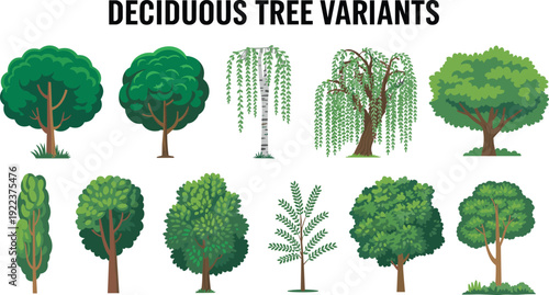Deciduous tree variant illustration featuring diverse foliage patterns, trunk structures, and seasonal growth habits with bold title text symbolizing forestry, botany, environment, and educational gra