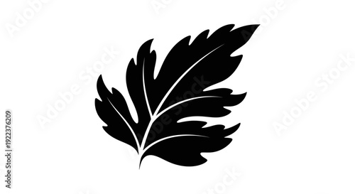 Elegant black silhouette of a single botanical leaf with detailed veins and serrated edges.