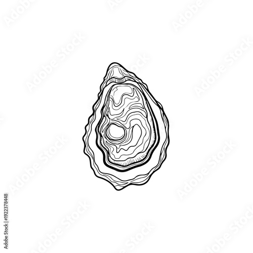 Minimalist icon representing a vector file or document