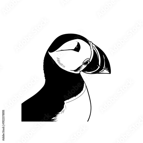 Minimalist icon representing a vector file format for design projects