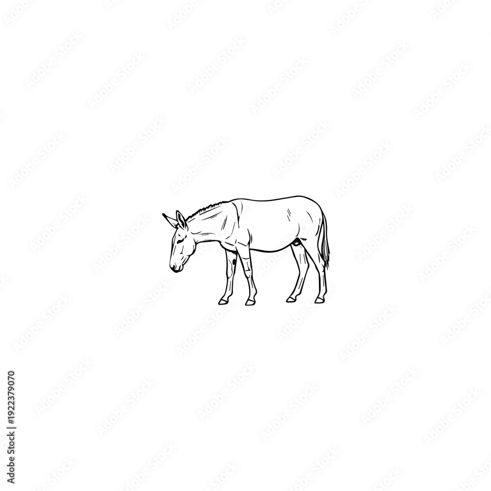 Fototapeta premium Simple icon representing a vector file for graphic design projects