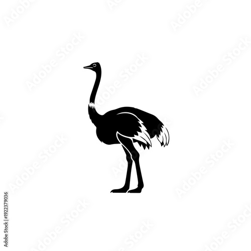 Minimalist icon representing a vector file format