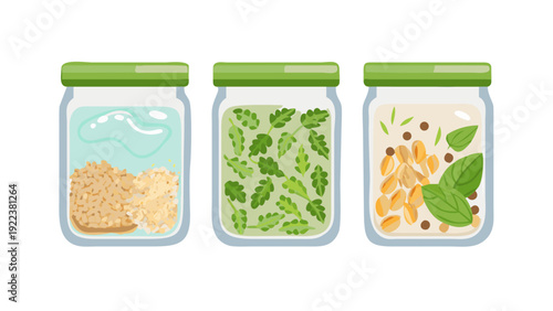 Vector flat lay of organized glass containers with healthy grains, greens, and protein, minimalist kitchen aesthetic.