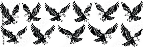 Set of flying eagle illustrations in aggressive attack pose, detailed black and white vector birds with spread wings, powerful raptor design for decoration