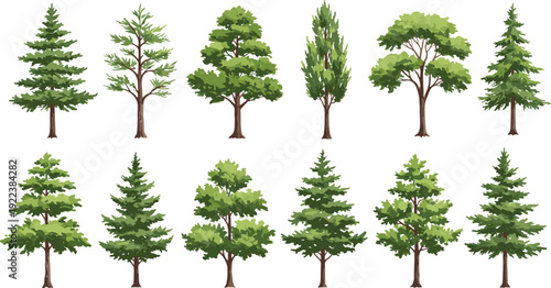 Set of green forest trees illustration, different deciduous and evergreen foliage, natural tree collection, botanical clipart, isolated tree elements, cartoon tree bundle, vector drawing