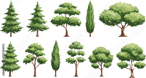 Set of green forest trees vector, natural botanical foliage illustration, various tree types, cartoon pine and deciduous trees, isolated nature elements for design