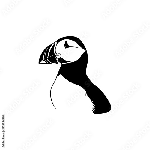 Minimalist icon representing a vector file format