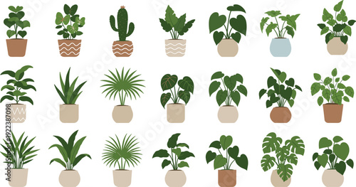 Set of modern indoor plants in decorative pots, featuring various types of greenery, houseplants, cacti, and tropical plants for home decor and interior design, isolated on white background