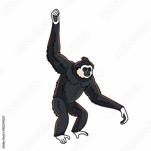 Hainan gibbon illustration on white background