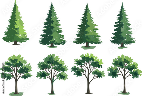 Set of evergreen and deciduous trees isolated on white background, forest nature botanical landscape vector illustration clipart collection