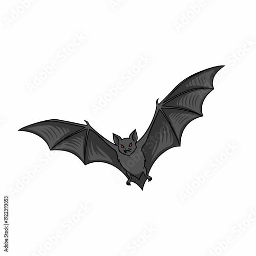 flying bat illustration