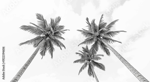 Three palm trees reaching towards a cloudy sky in a sketchy style